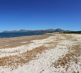 Gehört bald zum Standard mallorcinischer Strände