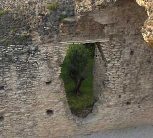 Le Grotte di Catullo