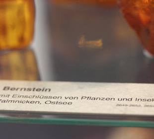 Bernstein Palmnicken