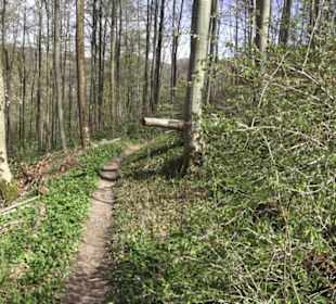 Wanderweg Hochgehkämpft