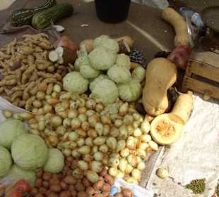 Gemüse auf dem Boden