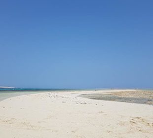 Karibikfeelingtour auf dem Roten Meer