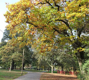 Eindrücke aus dem Sternschanzenpark