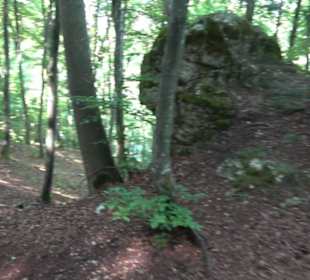 Sternberg