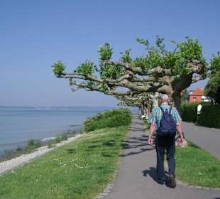 Bodenseepromenade
