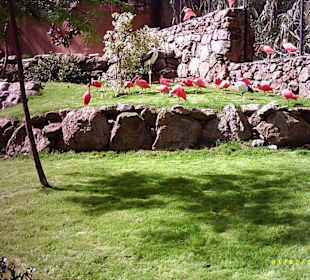 Palmitos Park