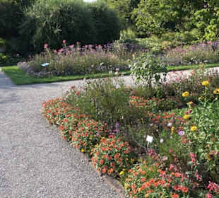 Schmuckhof Botanischer Garten