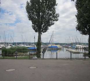 Insel Reichenau Hochwasser