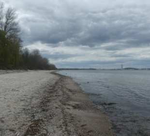 Am Naturstrand von Rosenhagen