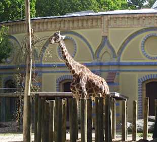 Berliner Zoo