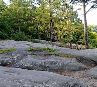 Kleine Luxemburger Schweiz bei Echternach