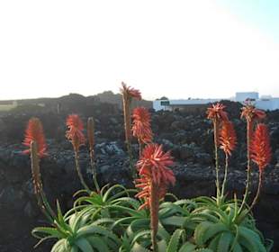 Parque Nacional de Timanfaya
