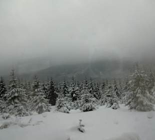 Traumhafte Winterwelt