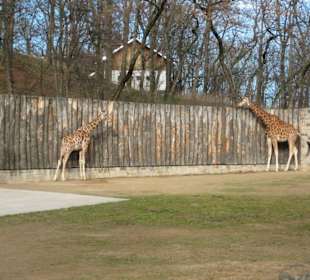 Zoo Erfurt