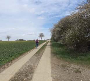 Vulkankrater-Rundweg Apfelstetten
