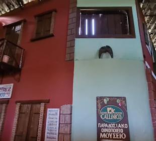 Museum