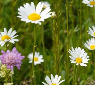 Kurpark Bad Birnbach