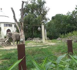 Tierpark Hellabrunn