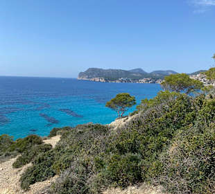Strand Paguera/Peguera