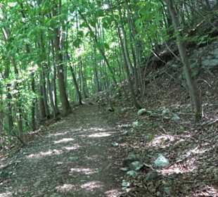 Premiumwanderweg "hochgelegen"