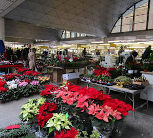 Markt am Piazza Camillo