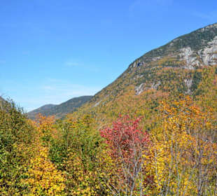 Fahrt mit dem Notch Train