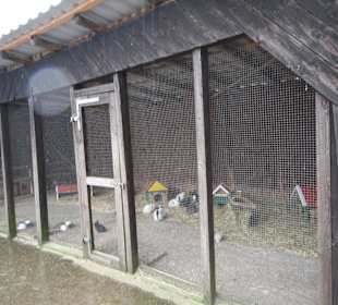 Kaninchenstall