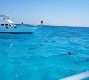 Define im offenen Meer