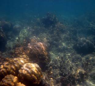 Underwater, fast am Hotelbeach