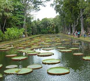 Botanischer Garten