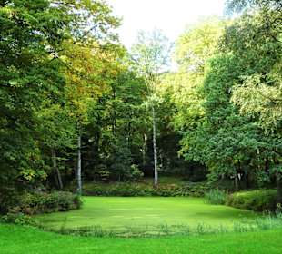 Rundgang durch Knoops Park im Herbst