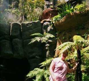 Eine ganz andre Welt auf Mallorca