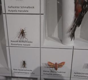 Naturkundemuseum