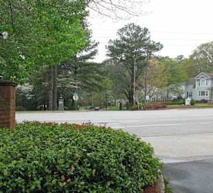 Atlanta Stadt der vielen Bäume