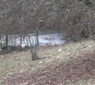 Ochsenweiher Rundweg