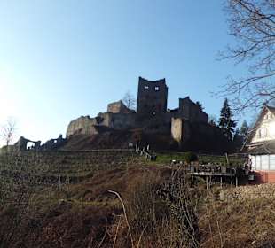 Oberkirch Weinwanderung Burgruine Schauenburg