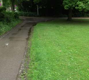 Kollmannspark