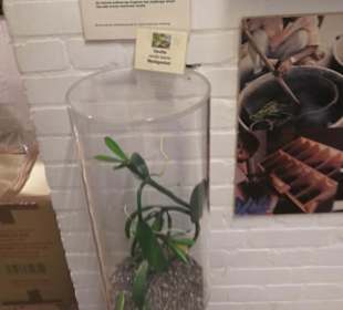 Spicy's Gewürzmuseum