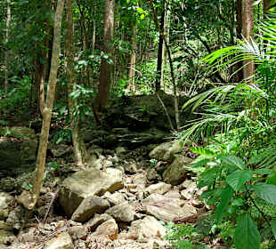 Parque Natural Obô do Príncipe