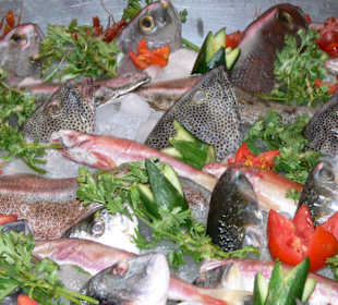 Frischer Fisch