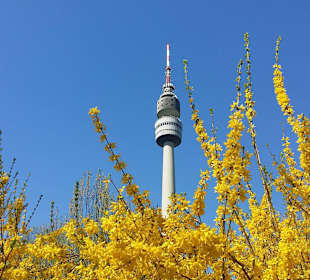 Frühling im Westfalenpark Dortmund