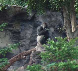 Kleine Zwischenmahlzeit
