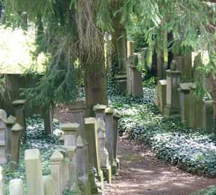 Gräber unter schattenspendenden Bäumen
