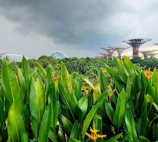 Gardens by the Bay