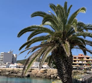 Wandern Cala Ratjada