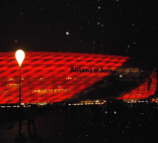 Allinaz Arena München