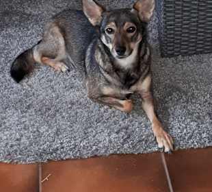 Stadtrundgang Bodenmais