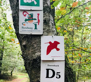 Wandern Dammbach