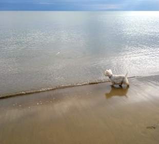 Da schaut Dame mal aufs Meer