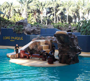 Loro Parque 